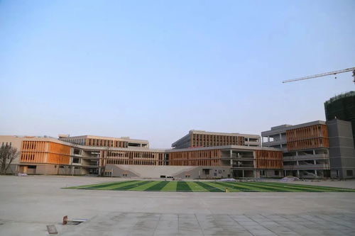 天府新区小学第一批次摇中率出炉,十一学校11 ,天府四中5