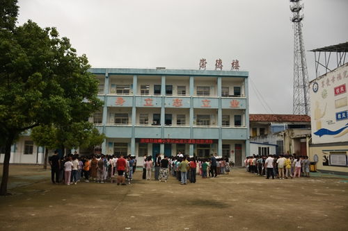 固镇县谷阳中心学校唐南小学举行防震减灾疏散演练