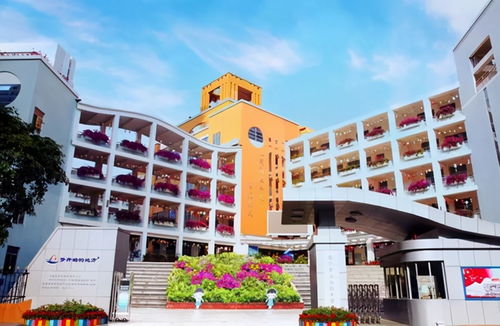 南宁10大名牌小学实力榜 你家的孩子念了吗