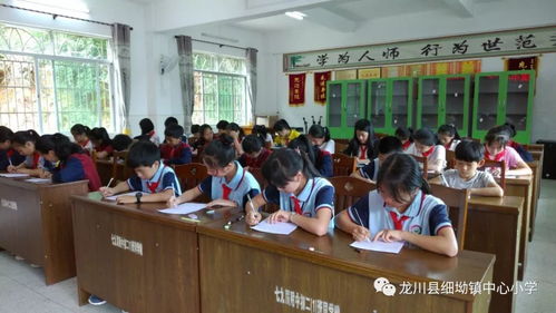 细坳镇中心小学举办颂竹作文比赛