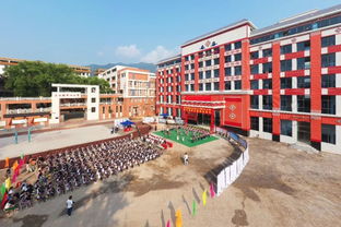 今天这栋教学楼落成,县城这所小学的师生搬进宽敞 新家