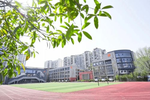 成都学区分析 茶店子小学 石笋街小学