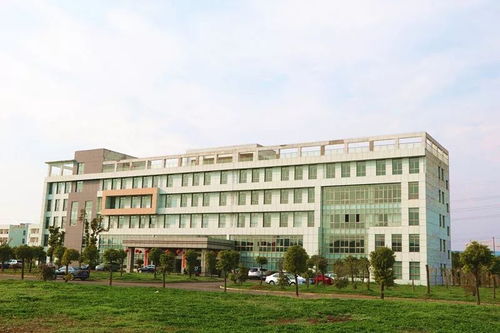 聚焦民营经济④丨创新 做精细化产品才有市场