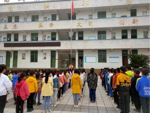 叙州区商州镇民乐小学校开展 健康膳食伴我行 食品安全系列活动