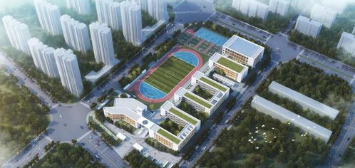 重磅教育大利好 2023年9月,宁波奉化将有一所新小学要投用