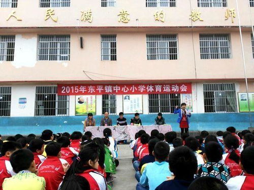 东平镇中心小学
