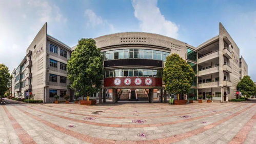 一房搞定12年全龄教育 科教城向东,这座流量盘祭出了新的 王炸