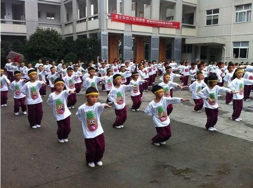 奉化市舒家小学