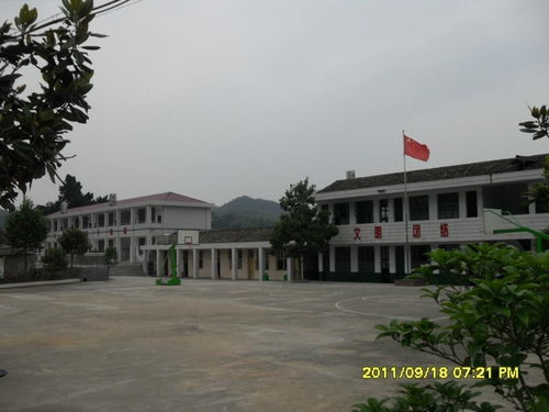 文家市泉井小学