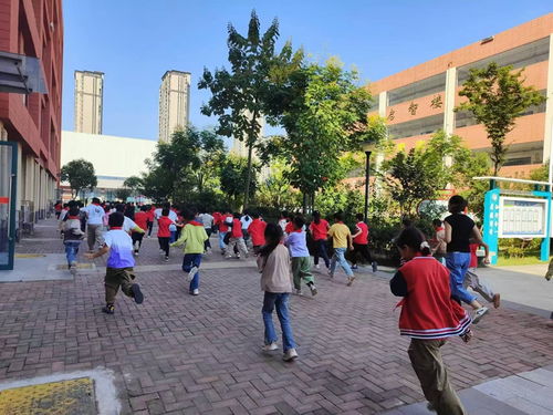 亳州市第一小学 消防演练筑防线