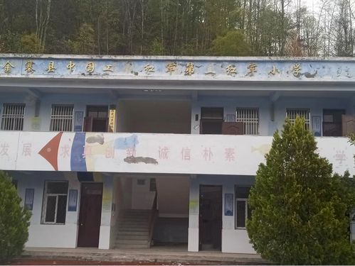 合肥市逍遥津小学金都华庭校区 探历史足迹忆往昔 传红色基因铸未来