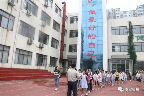 新泰市中国娃小学到校参观