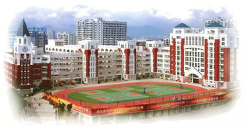 晋江市实验小学2019年公开招聘公办教师通告
