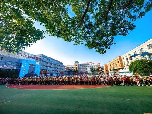 枣庄市中区文化路小学开展 走近海洋世界探索自然奥秘 主题研学活动