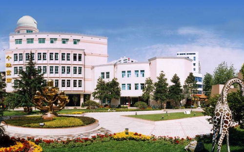 武汉土豪学校排行榜, 从幼儿园开始就给跪了 开发区有四所,能上得起吗