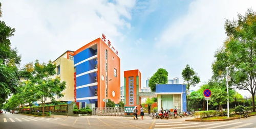 聚焦 光谷2018年小学 初中入学划片,看这里