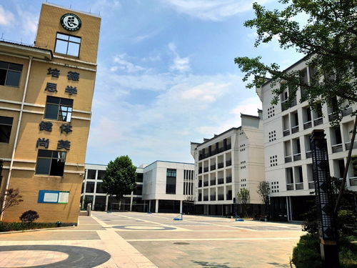 义乌市田心小学招生简章