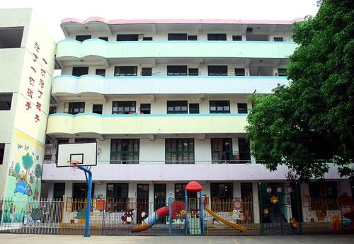 城厢区龙办中心小学
