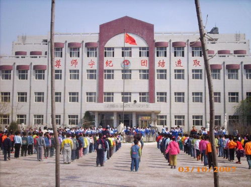 团泊中心小学