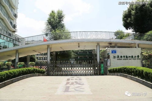 成都最好的10大公办小学 口碑爆棚,对口初中也给力