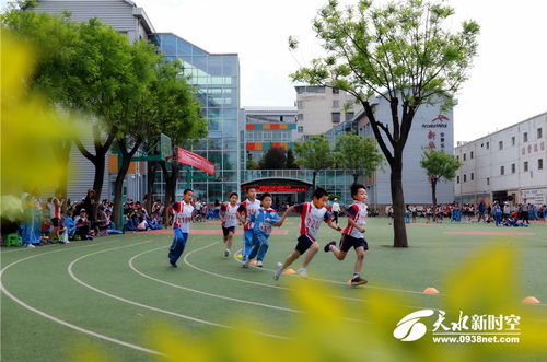 运动 健康 出彩 再现学校运动会精彩难忘的瞬间