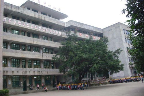 连江县马鼻中心小学