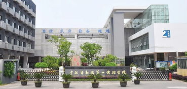 2019年宁波市新城第一实验学校小学新生登记入学通告