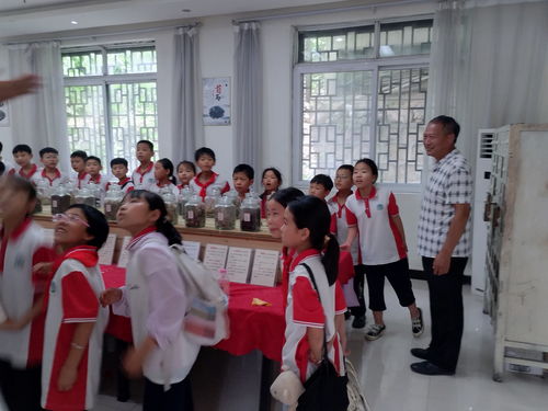 内乡县马山口镇中心小学 研学魅力云露山 探索中医药文化