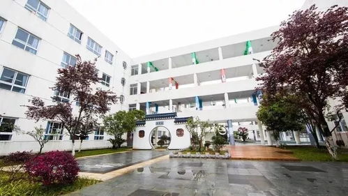 新生家长必备 高淳区淳溪中心小学一年级新生入学攻略
