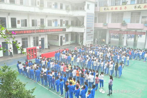 新城镇中心小学2018年校园消防安全宣传教育实践系列活动简讯