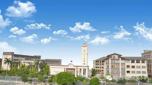 七彩阳光 快乐童年 崇英小学举行第三届广播体操比赛