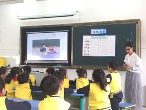 小学科学教学网