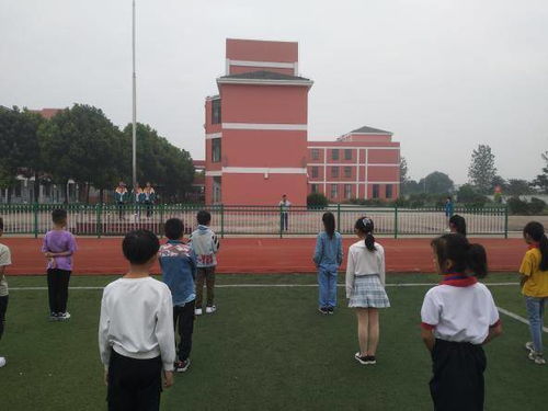宝应小官庄镇中心小学开展学校网络安全宣传周活动