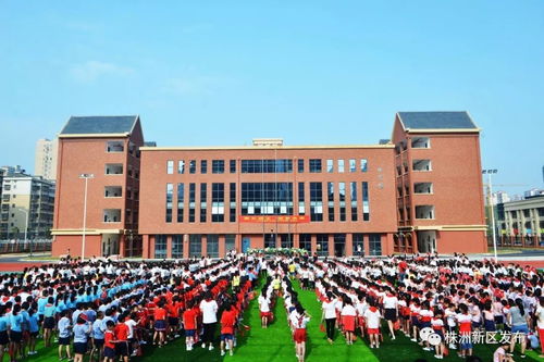 头条 株洲市天元区 产业项目发力,新年首月财政收入近10亿元