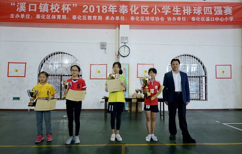 溪口镇校杯 2018年奉化区小学生排球四强赛落幕 溪口镇中心小学 新城实验小学分获男 女组冠军