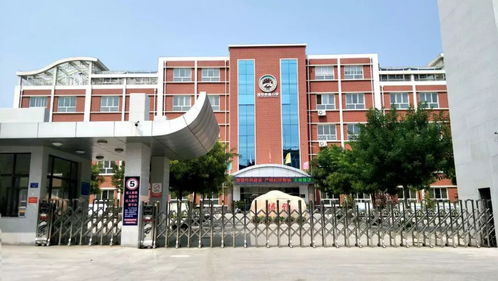 喜讯丨文字在校园内流淌 文化在教育中传扬