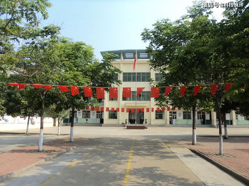滕州市龙泉街道东新小学家访进行时