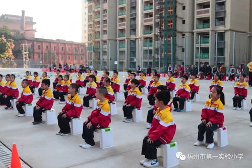 守规范 润童心 乐成长 梧州市第一实验小学一年级课堂行为常规训练成果展示暨家长开放日活动