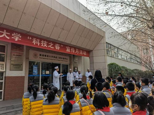 食品学院开展小学生科普教育,助力学校 科技之春 宣传活动