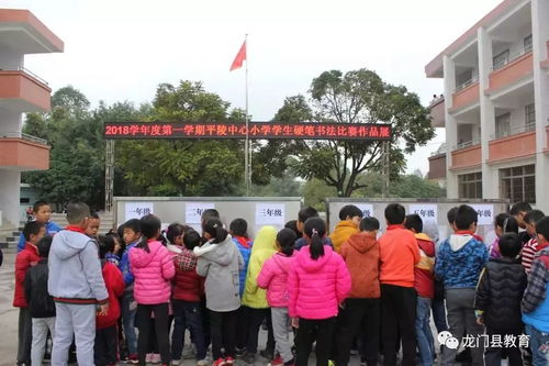 平陵中心小学举行2018学年第一学期硬笔书法比赛
