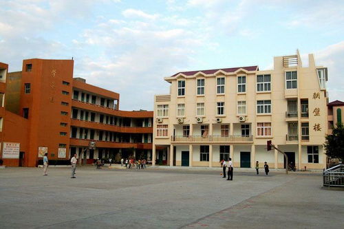 两所小学的教育风采：高山中心小学与奉化市江口中心小学