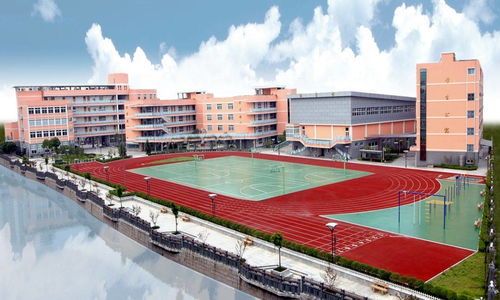最新瑞安中小学2021年招生预警——奉化市江口中心小学招生压力激增