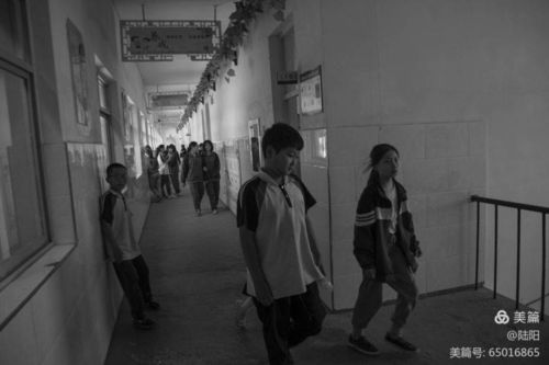 情系西陵中心小学与奉化市江口中心小学